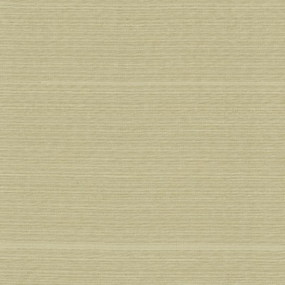 Kasmir BURKE            SAND DOLLAR     